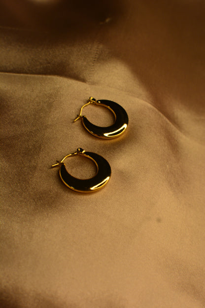 Classic Gold Hoop Earrings